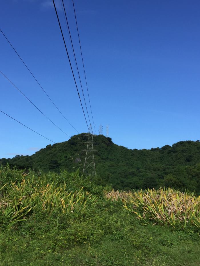 1538296174693457.jpg 菲律賓0191項目_副本.jpg